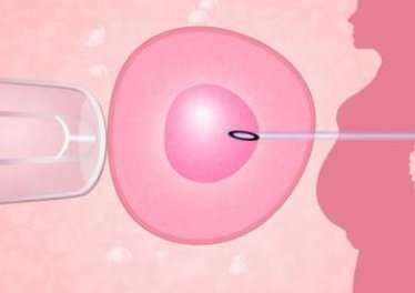 2026齐齐哈尔试管婴儿医院排名，附成功率及费用介绍