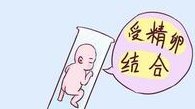 三代试管受精率低的三种原因，精子异常配成率自然不高