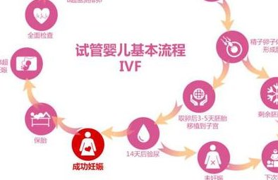 保定第二中心医院试管婴儿费用指南，一般人都负担得起